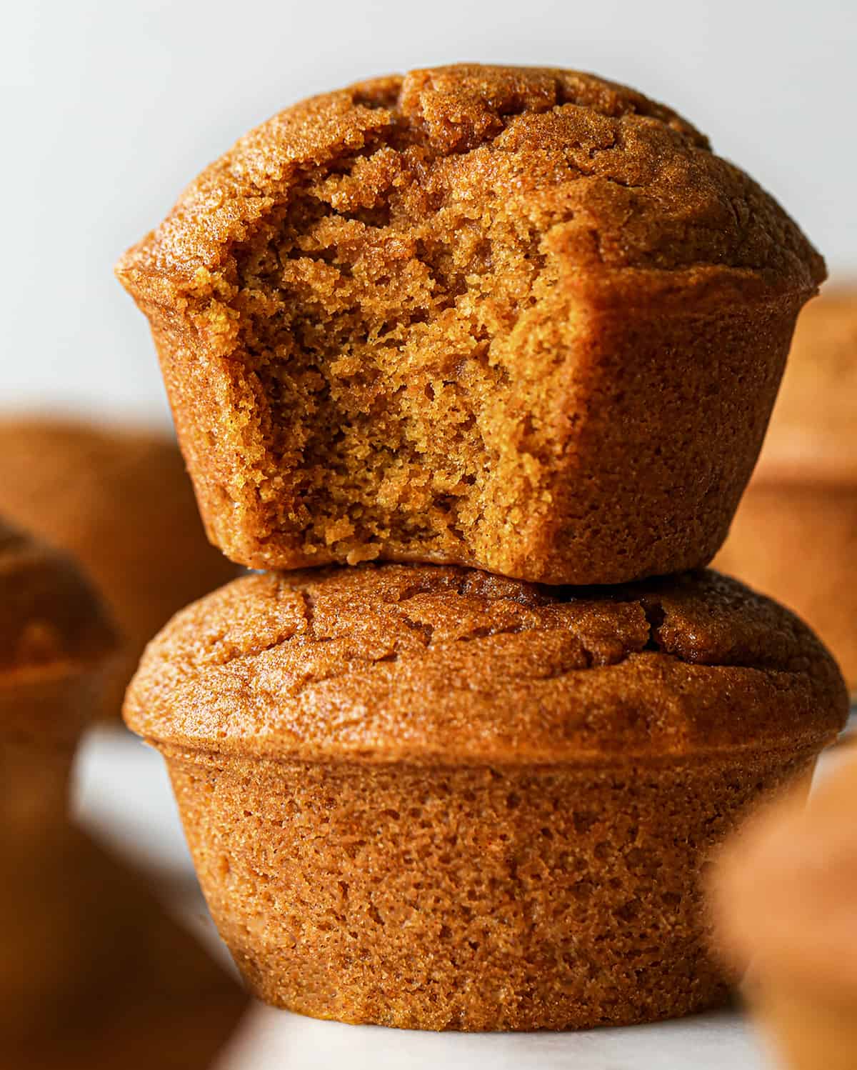 Best Pumpkin Chocolate Chip Muffins